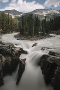 Scenic view of waterfall in forest