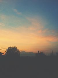 Silhouette of trees on landscape at sunset