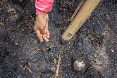 Low section of person working on ground