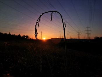 Scenic view of field against sky at sunset