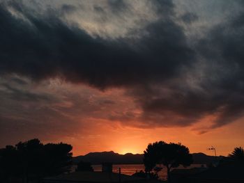 Silhouette of trees at sunset