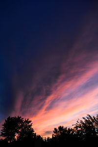 Low angle view of silhouette trees against sky during sunset