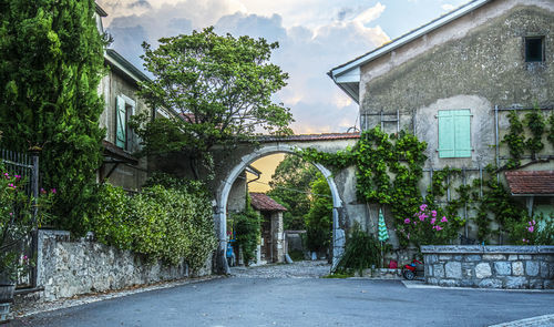 Road amidst trees and buildings against sky