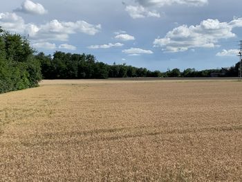 Scenic view of field against sky