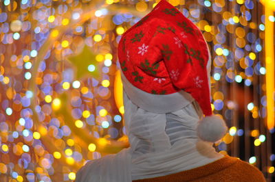 Rear view of man with christmas lights