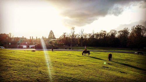 People in soccer field against sky during sunset