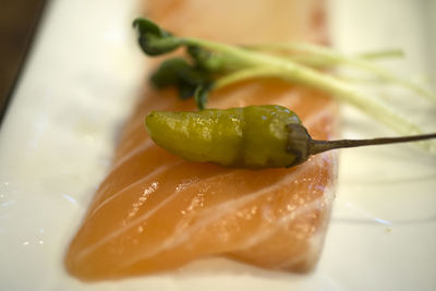 Close-up of salmon in plate