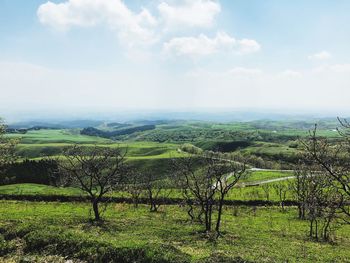 Scenic view of landscape against sky