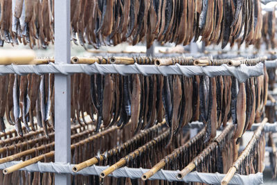 Close-up of drying fishes which are herrings and saury