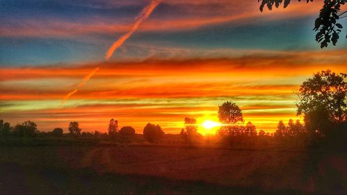 Scenic view of trees against sky during sunset