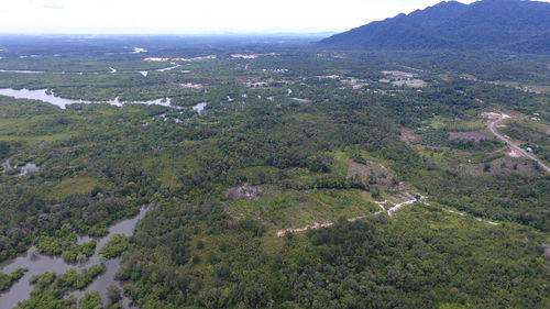 Aerial view of agricultural field