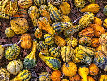 Full frame shot of vegetables for sale