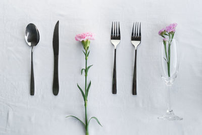 Directly above shot of potted plant on table