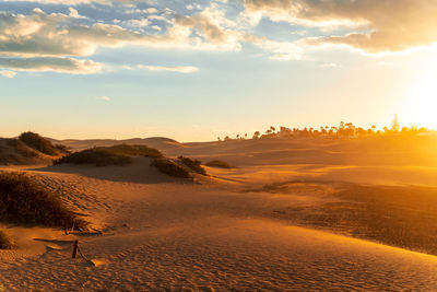 Scenic view of landscape against sky during sunset