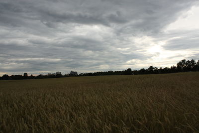 Scenic view of field against cloudy sky