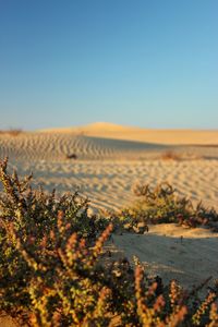 Scenic view of land against clear sky