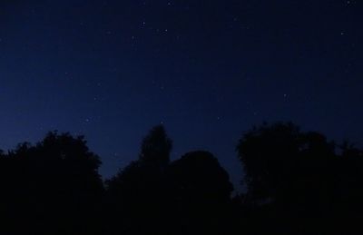 Low angle view of silhouette trees against sky at night