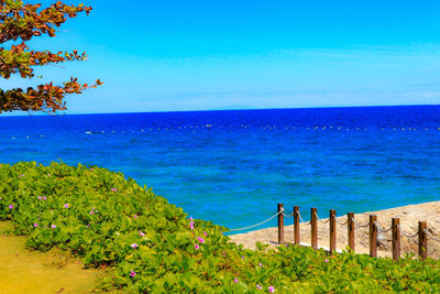 Scenic view of sea against blue sky