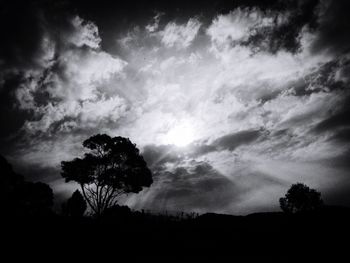 Silhouette of trees against cloudy sky