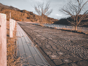 Railroad track amidst bare trees against sky