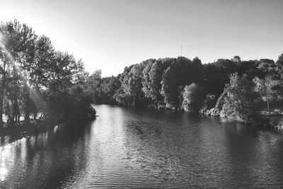 River amidst trees against clear sky