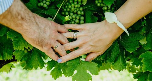 Midsection of couple holding hands over plant