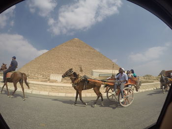 Man riding horse cart on street against sky