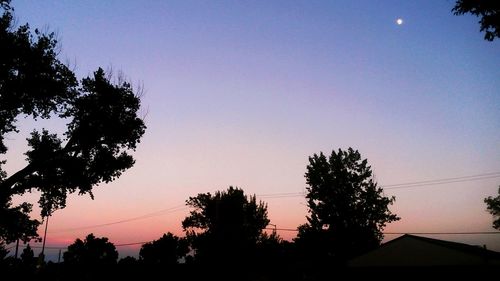 Silhouette trees against clear sky during sunset