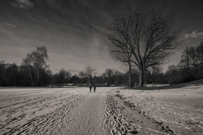 Bare trees on field against sky during winter