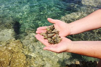 High angle view of person hand against sea