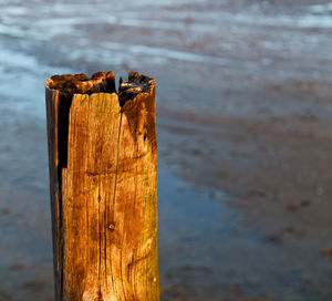 Close-up of wooden post on wood