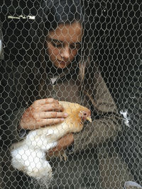 Close-up of birds in cage