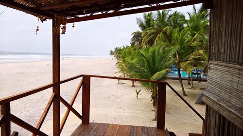 Palm trees on beach against sky