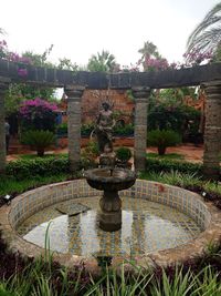 View of fountain in garden