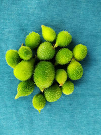 High angle view of fruits against blue background