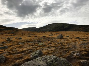 Scenic view of landscape against sky