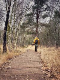 Rear view of man walking on footpath in forest