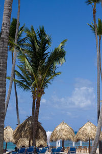Beach view of trees and huts