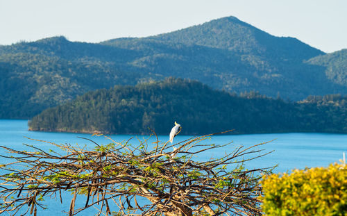 Scenic view of sea against mountain