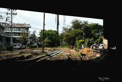 Train by railroad tracks against sky