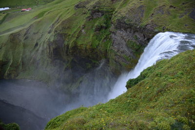 Scenic view of waterfall in forest