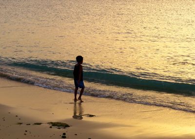 Full length rear view of man standing on beach