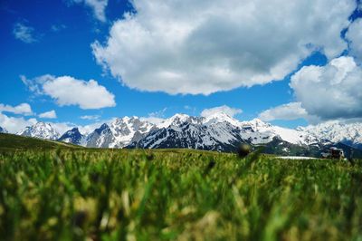 Scenic view of landscape against sky