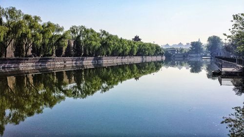 Scenic view of river by trees