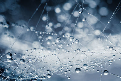 Close-up of water drops on glass