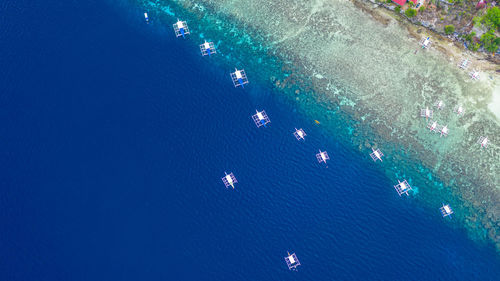 Aerial view of beach