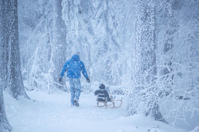 Full length of people on snow covered tree