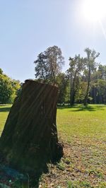 Trees on field against clear sky