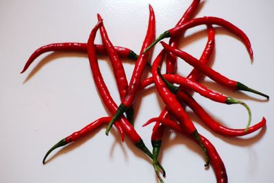 Close-up of red chili pepper against white background