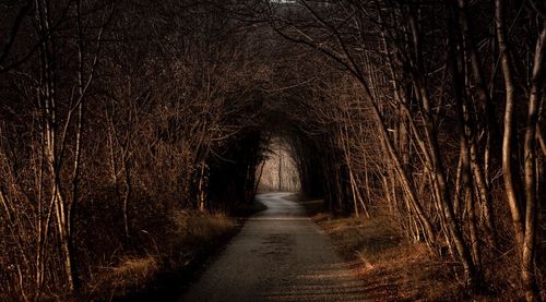 Tunnel amidst trees